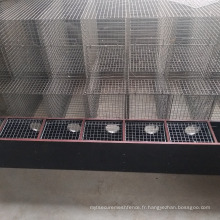 Nouveau design meilleur prix deux couches 16 nids cage de vison en treillis soudé en acier inoxydable